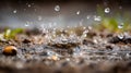 Close-up of water droplets splashing in muddy ground captured with shallow depth of field creating a dynamic and refreshing Royalty Free Stock Photo