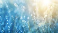 Close-up of water drops on grass with a beautiful blurred background in blue tones Royalty Free Stock Photo