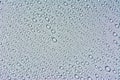 Close up of water drops on gray tone background. Abstract Black and White Royalty Free Stock Photo