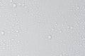 Close up of water drops on gray tone background. Abstract Black and White Royalty Free Stock Photo