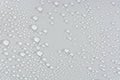 Close up of water drops on gray tone background. Abstract Black and White Royalty Free Stock Photo
