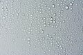 Close up of water drops on gray tone background. Abstract Black and White Royalty Free Stock Photo