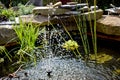 Close up of a water feature in a garden pond Royalty Free Stock Photo