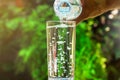 Close up of water flowing from drinking water bottle into glass on blurred green garden background Royalty Free Stock Photo