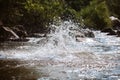 Close-up of water huge splashing in pond from people falling into water