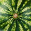 Close up of water melon skin Royalty Free Stock Photo