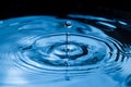 Close up of water ripple and raindrops. Royalty Free Stock Photo