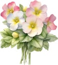 A bouquet of Primrose flowers. AI-Generated.