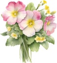 A bouquet of Primrose flowers. AI-Generated.