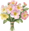 A bouquet of Primrose flowers. AI-Generated.