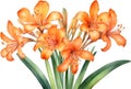 Close-up of a watercolor painting of Clivia miniata flower. Ai-Generated Royalty Free Stock Photo