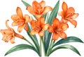 Close-up of a watercolor painting of Clivia miniata flower. Ai-Generated Royalty Free Stock Photo