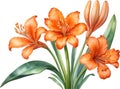 Close-up of a watercolor painting of Clivia miniata flower. Ai-Generated
