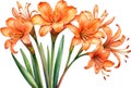 Close-up of a watercolor painting of Clivia miniata flower. Ai-Generated