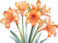 Close-up of a watercolor painting of Clivia miniata flower. Ai-Generated Royalty Free Stock Photo