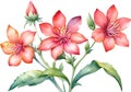 Close-up of a watercolor painting of a Penta flower. Ai-Generated