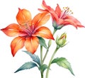 Close-up of a watercolor painting of a Penta flower. Ai-Generated