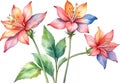 Close-up of a watercolor painting of a Penta flower. Ai-Generated