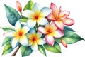 Close-up of a watercolor painting of a Plumeria flower. Ai-Generated