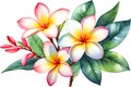 Close-up of a watercolor painting of a Plumeria flower. Ai-Generated