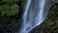 Close up waterfall flowing to moisture rock cliff in deep forest Royalty Free Stock Photo