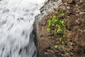 Close up of waterfall