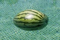 Close-up of watermelon floating in a swimming pool