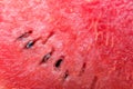 Close up watermelon texture background. Closeup red watermelon texture surface with seed Royalty Free Stock Photo