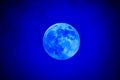 Close-up of the waxing gibbous blue moon Royalty Free Stock Photo