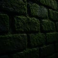 Close-up of weathered brick wall with green moss growth, textured background Royalty Free Stock Photo