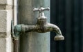 A close up of a weathered garden faucet water tap