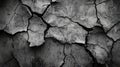 Grey Dried Mud Texture Showing Deep Cracks After Long Drought in the Summer Royalty Free Stock Photo