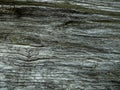 This is a close-up of a weathered gray wooden surface with deep grooves and cracks, serving as a textured background
