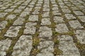 Close up of weathered old brick paving Royalty Free Stock Photo