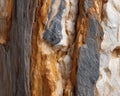 Close-Up of Weathered Rock Texture with Grey, Brown and Orange Tones Royalty Free Stock Photo