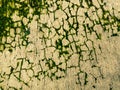 & x22;Subtle Cracks and Moss on Weathered Surface& x22; Royalty Free Stock Photo