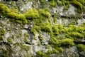 A close-up of a weathered stone wall with moss and lichen Royalty Free Stock Photo