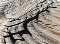 Weathered wood grain Royalty Free Stock Photo