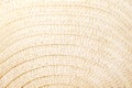 Weaving straw mat texture mild brown backdrop