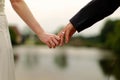 Newly Weds Holding Hands Royalty Free Stock Photo