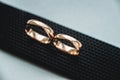Close up of wedding rings on a black leather belt Royalty Free Stock Photo