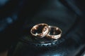 Close up of wedding rings on a black leather shoe Royalty Free Stock Photo