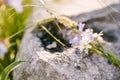 Close-up of wedding rings and an engagement ring on a stone with a bouquet of wildflowers.