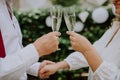 Close-up of wedding toast of bride and groom. Royalty Free Stock Photo