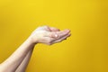 Female hands with folded palms in boat raised up on yellow background. Hands ready to take