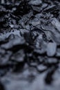 Close up of wet black wood coal Royalty Free Stock Photo
