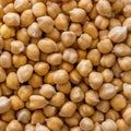 Close up of wet chickpeas