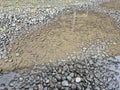 Close-up of wet gravel and a shallow puddle reflecting light after rain Royalty Free Stock Photo