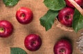 Close up of wet red apples with green leaves Royalty Free Stock Photo