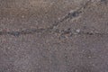 Closeup of wet and cracked concrete footpath with pebbles